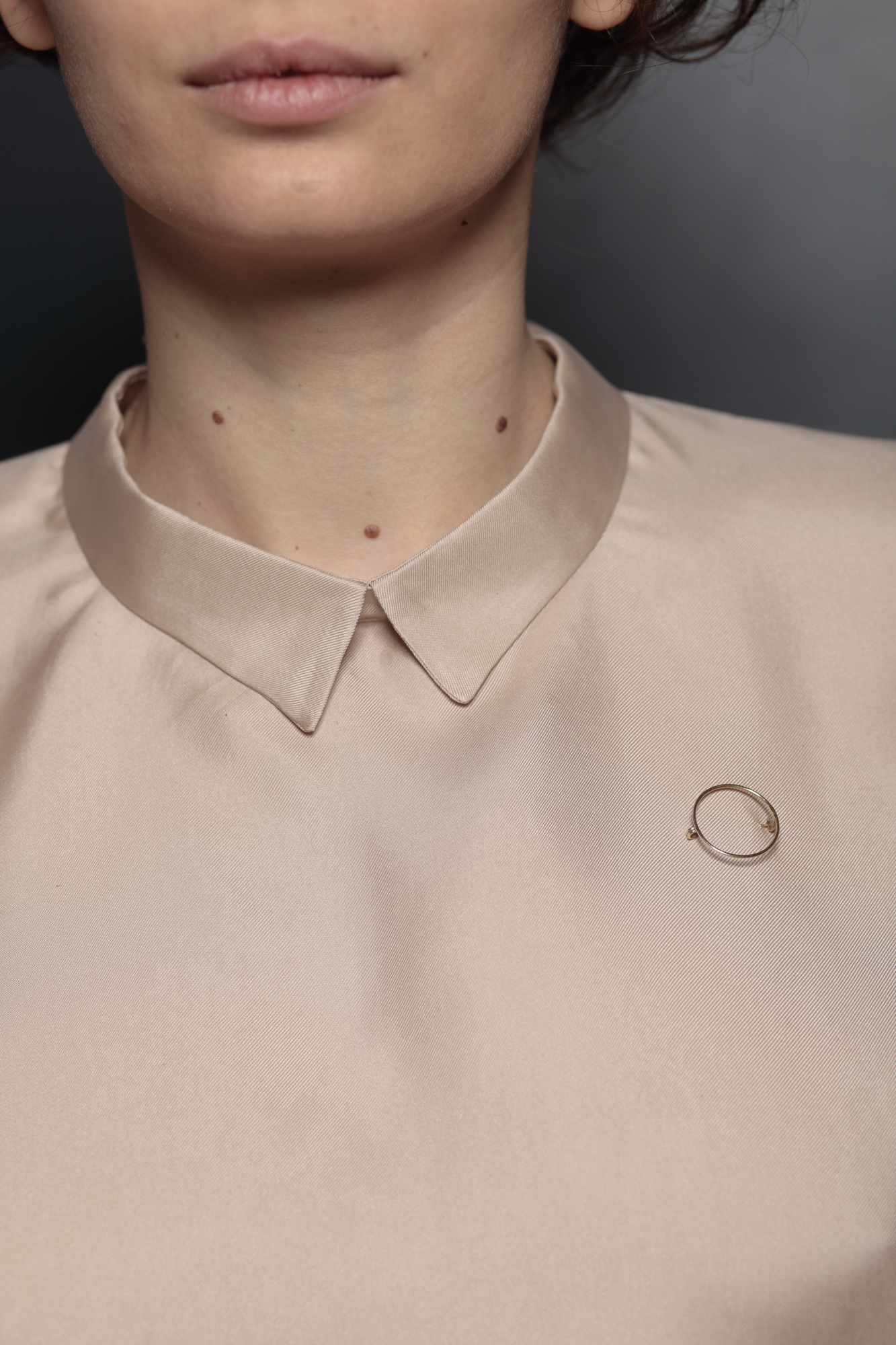 Missing Circle Brooch